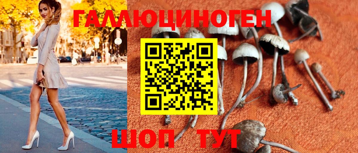 Галлюциногенные грибы мухоморы Королёв