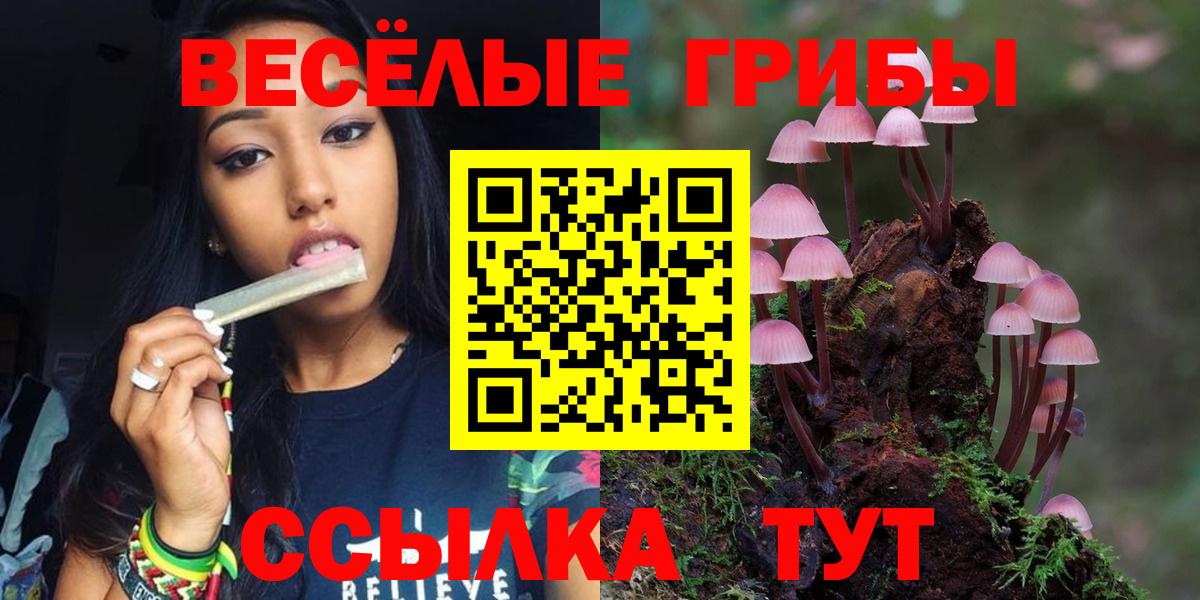 Псилоцибиновые грибы мицелий  Вход с VPN  Королёв 